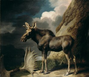 Geyik, 1770 by George Stubbs
