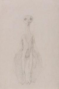 Baykuş Ayakta, Önden Görünüm by George Stubbs