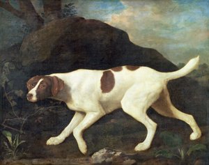 Phillis, Lord Clermont'un İşaretçisi by George Stubbs