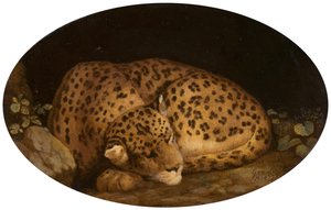 Uyuyan Leopar, 1777.