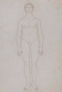 İnsan Figürü Çalışması, Önden Görünüm (Tablo VI için Anahat Çizimi) by George Stubbs