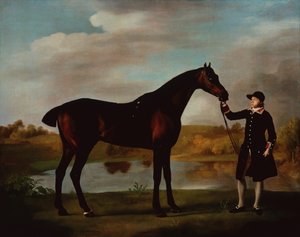 Bir Damat ile Malborough Körfezi Avcısı Dükü (tuval üzerine yağlı boya) by George Stubbs