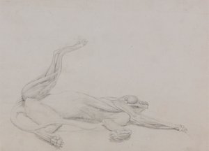 Kaplan Gövdesi, Yaslanmış, Karından Görüntülenmiş by George Stubbs