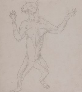 Kaplan Gövdesi, İnsan Duruşunda Duruyor by George Stubbs