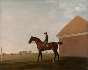 Newmarket'ta Jockey yukarıdayken çim by George Stubbs