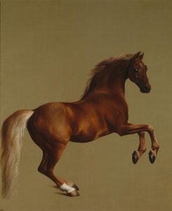 düdük by George Stubbs