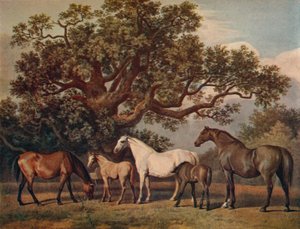 Brood Mares ve Foals, 18. yüzyılın sonları, 1922