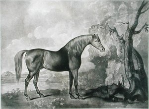 Kahverengi At Maskesi, George Stubbs