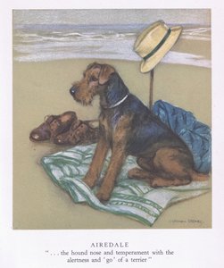 Airedale (renkli lito) by George Vernon Stokes