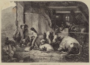 Carnarvonshire