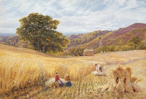 Holmbury Hill yakınlarında hasat zamanı, Surrey, 1865 (kağıt üzerinde wc ve gövde rengi)