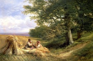 Biçerdöverler, 1881