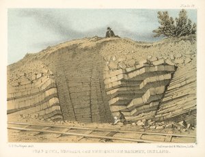 Trap Dyke, Dundalk ve Enniskillen Demiryolu, İrlanda (renkli gravür) by George Victor Du Noyer
