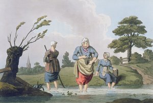Robert Havell (1769-1832) 1814 tarafından kazınmış 