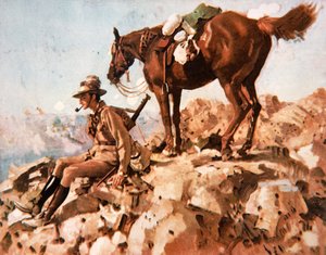 Avustralya Hafif Süvari, Allenby