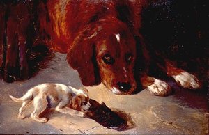 Meraklı Bir Köpek Yavrusu (tahta)