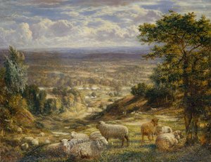 Koyunlu Bir Yaz Manzarası by George William Mote