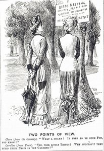 1880 Kuşları Koruma Yasası hakkında yorum yapan karikatür by George du Maurier