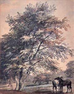 Ağaçlar ve Atlar, 18. yüzyıl
