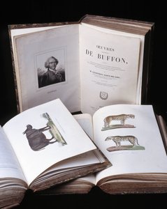 Doğa bilimci Georges Louis Leclerc, Buffon Kontu (1707 - 1788) tarafından “Buffon