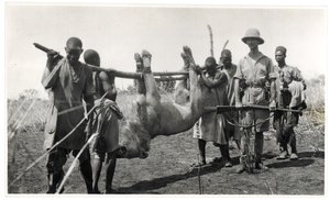 Bahr el Ghazal