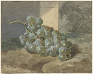bir salkım üzüm by Gerard Sanders