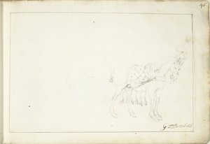 At, sağa by Gerard ter Borch (II) (signed by artist)