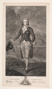 Frederik Christian, Schleswig Dükü