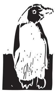 Penguen by Gerhardt Isringhaus