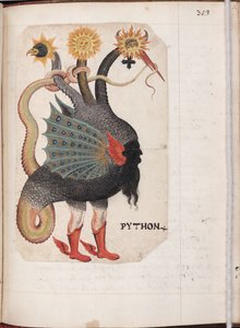 Python