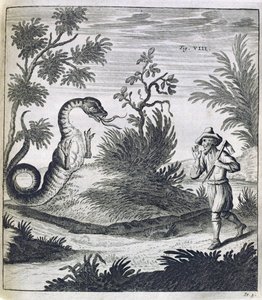 Korkunç Bir Ejderha, c.1660 by German School