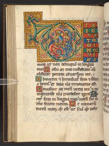 Ekle. 60629, f.43v Yapraklı ve bazen zoomorfik ve antropomorfik süslemeli (parşömen) altın ve renklerde büyük çerçeveli baş harfler by German School