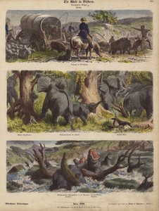 Afrika (renkli gravür) by German School