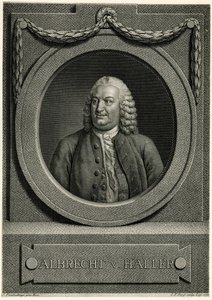 Albert von Haller by German School