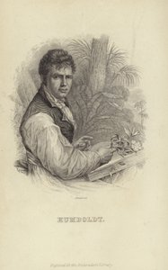 Alexander von Humboldt by German School