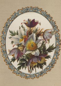Anemonlar (kromolito) by German School