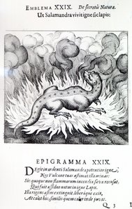 Semender ateşte yaşadığı gibi, Taş, Amblem XXIX, Atalanta fugiens