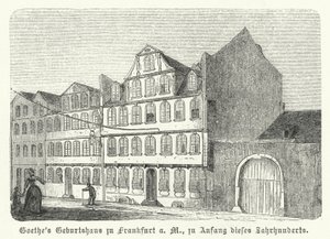 Alman yazar Johann Wolfgang von Goethe