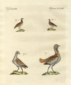 toylar by German School