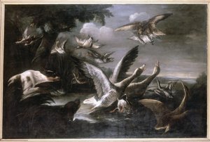 Kartal, Yaban Kazları ve Köpekler by German School