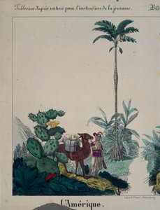 Güney Amerika flora ve faunasını gösteren eğitici poster, sol taraf, F. Wentzel, Weissenburg, 1840 (ayrıca bkz. 379942)