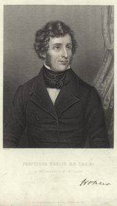 Friedrich Woehler by German School