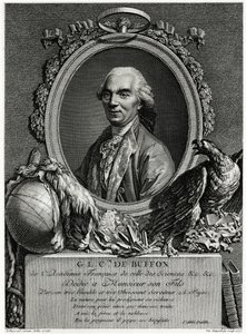 George Louis Leclerc Buffon Kontu by German School