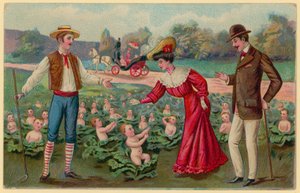 Lahanadan bebek yetiştirmek by German School