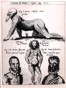 Kıllı adam ve Vahşi adam, Gaspar Schott