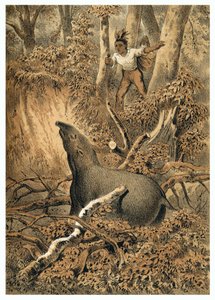 İllüstrasyon, Amazon ormanlarında Hintli tapir avı. “” De Bootslieden der Amazon-River”da, Karl Muller, Hollanda by German School