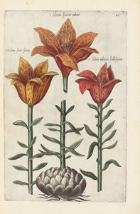 "Florilegium