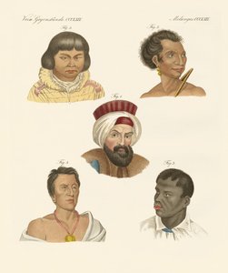 Ana insan ırklarının illüstrasyonu by German School