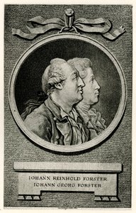 Johann George Forster by German School