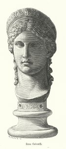 Juno Ludovisi, Mark Antony ve Octavia Minor'un kızı Antonina Minor'u tanrıça Juno olarak tasvir eden antik Roma devasa mermer baş (gravür) by German School